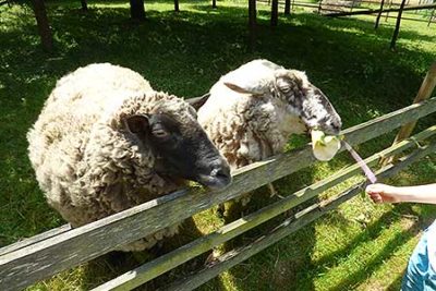 Wohngruppe Norden - Preußisch Oldendorf